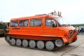 ГАЗ-34039 «Ирбис» — российский гусеничный снегоболотоход